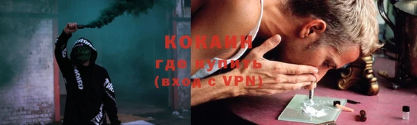 шишки Елабуга