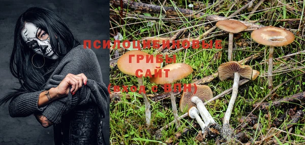 шишки Елабуга