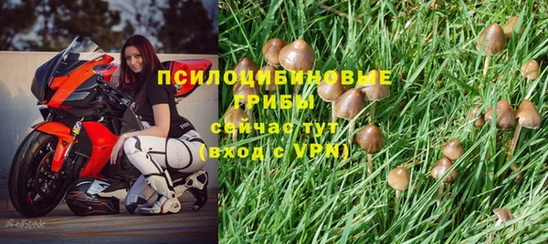 эйфоретик Ельня