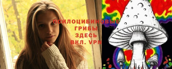 эйфоретик Ельня