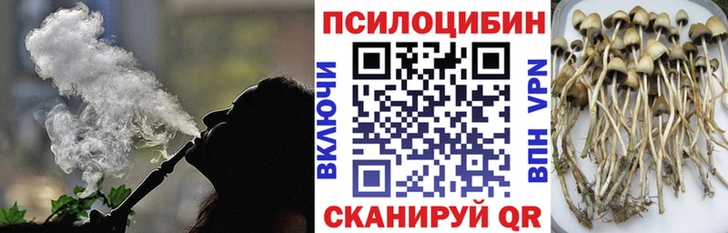 Купить закладки  Руза  Псилоцибиновые грибы ЛСД 